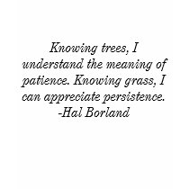 Knowing trees, I understand the meaning of ... t-shirts