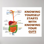 Knowing Yourself Starts With Knowing Your Guts Posters