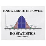 Knowledge Is Power Do Statistics (Stats Humor) flyers