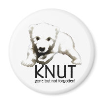 Knut Polar Bear magnets