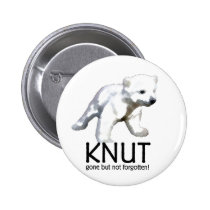 Knut Polar Bear buttons