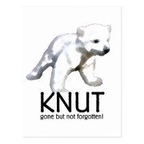 Knut Polar Bear postcards