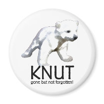 Knut Polar Bear magnets