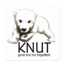 Knut Polar Bear stickers