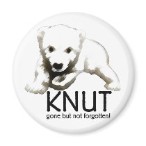 Knut magnets