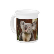 koala10-12x9 pitchers