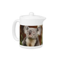 koala10-12x9 teapots