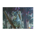 Koala 3D Anaglyph posters by prolithic Koala 3D Anaglyph posters