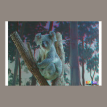 Koala 3D Anaglyph posters