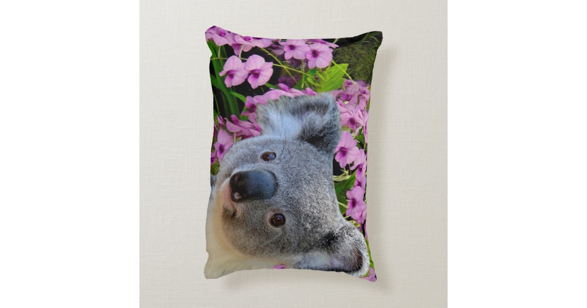 koala pillow sale