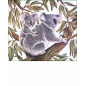 Koala and baby in Eucalyptus Tree t-shirts