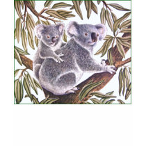 Koala and baby in Eucalyptus Tree t-shirts by joeyartist Koala and baby in Eucalyptus Tree t-shirts