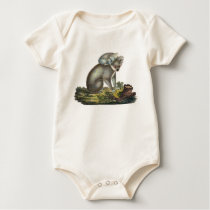 Koala Bear Baby Wear t-shirts
