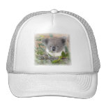 koala, koala bear, bear, marsupial, australia, australian, australian koala, australian koala bear, bears, koala bears, zoo, wild animal, wildlife, animal, animals, outback