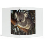 Koala Bear Binder