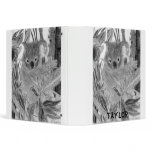 koala bear binders