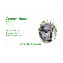 Koala Bear Business Card