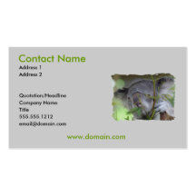 Koala Bear Business Card