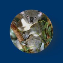 Koala Bear buttons
