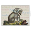 Koala Bear Card by AntiqueImages Koala Bear Card