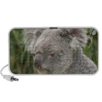 Koala Doodle