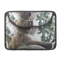 Koala Bear Facts 13" MacBook Sleeve MacBook Pro Sleeve