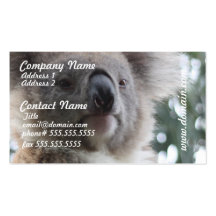 Koala Bear Facts Business Cards