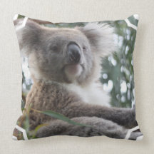 Koala Bear Facts Pillow