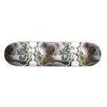 koala, koala bear, australia, australian koala bear, koalas, koala bears, bear, bears, marsupial, australian, aussie, mammal, animal, wildlife, wild life, wild animal, animals, koala photo, koala picture, australian koala, cute koala, love koalas