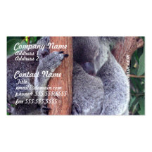 Koala Bear Family Business Cards