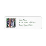 Koala Bear Family Mailing Labels