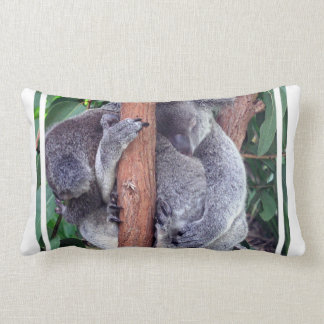 koala bear pillow pet