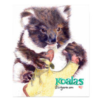 Koala Bear Fine Art  Print and Poster