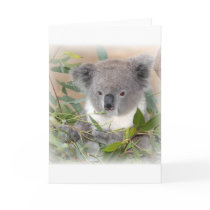 Koala Bear Greeting Card