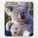 Koala Bear Holding A Koala Bear mousepads