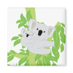 Koala Bear III magnets