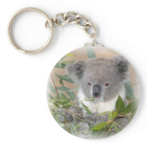 Koala Bear Keychain