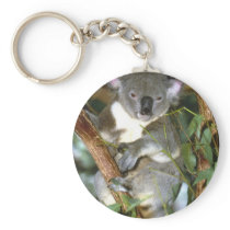 Koala Bear Keychain