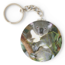 Koala Bear Keychain