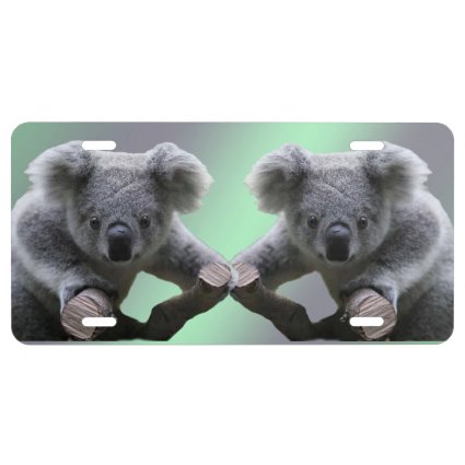 Koala Bear License Plate License Plate
