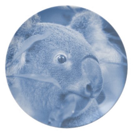 koala bear looking right blue marsupial party plate