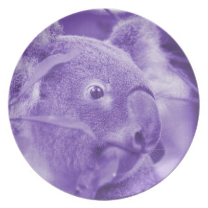 koala bear looking right purple marsupial dinner plates