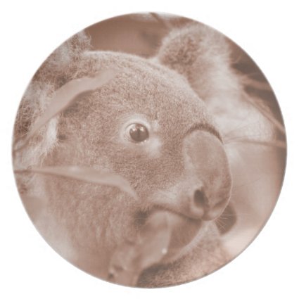 koala bear looking right sepia.jpg dinner plate