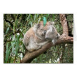Koala Bear mother and baby Card