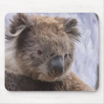 Koala Bear mousepads by Cazzies_Creations Koala Bear mousepads