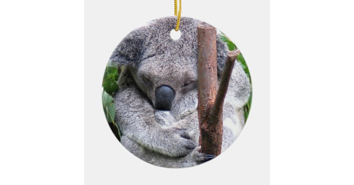 koala bear ornament zazzle koala bear ornament zazzle