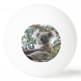 Koala Bear Ping-Pong Ball