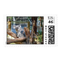 Koala Bear stamps