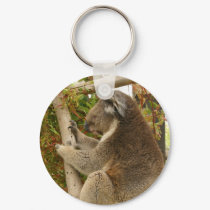 Koala bear sleeping on a tree keychains