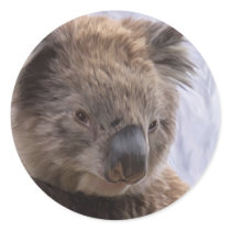 Koala Bear stickers